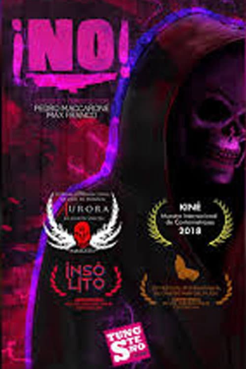 No! poster