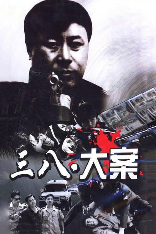 3·8大案 (2009) poster