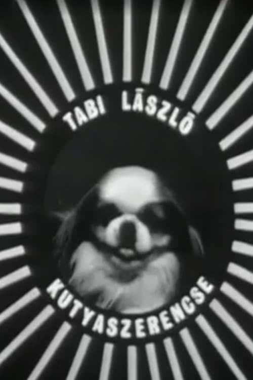 Kutyaszerencse (1967) poster