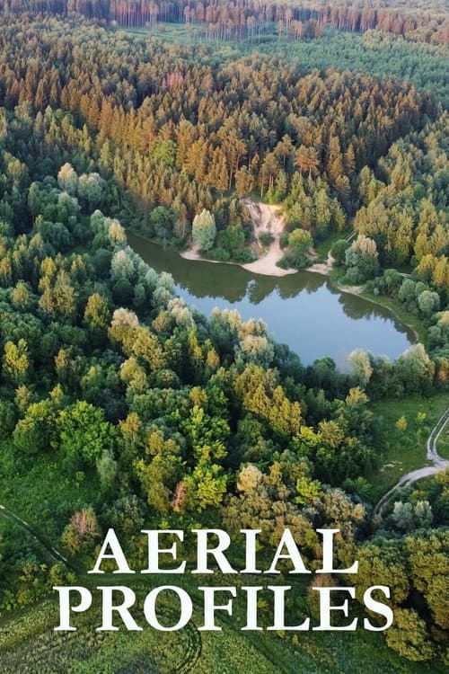 Aerial Profiles poster
