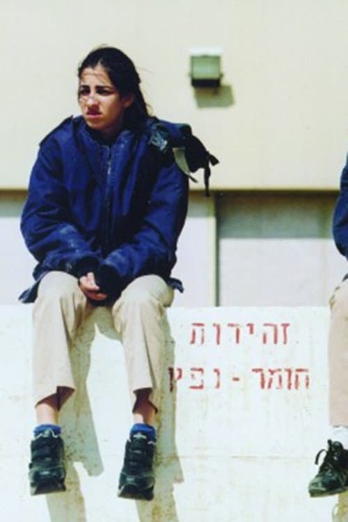 The Substitute (2006) poster