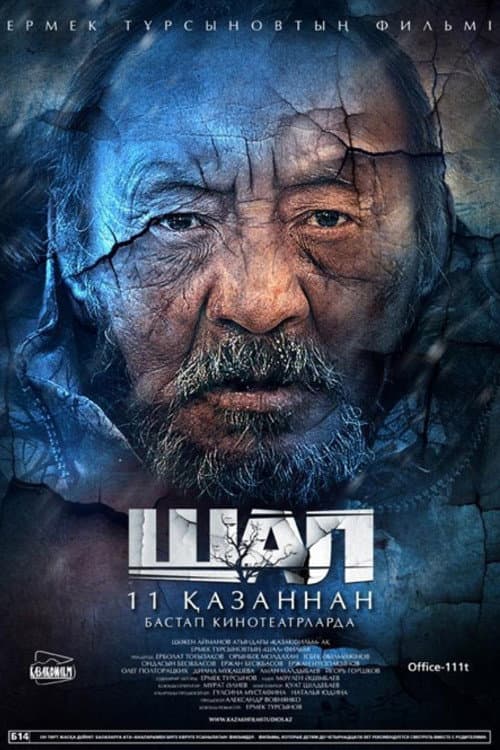 The Old Man (2012) poster