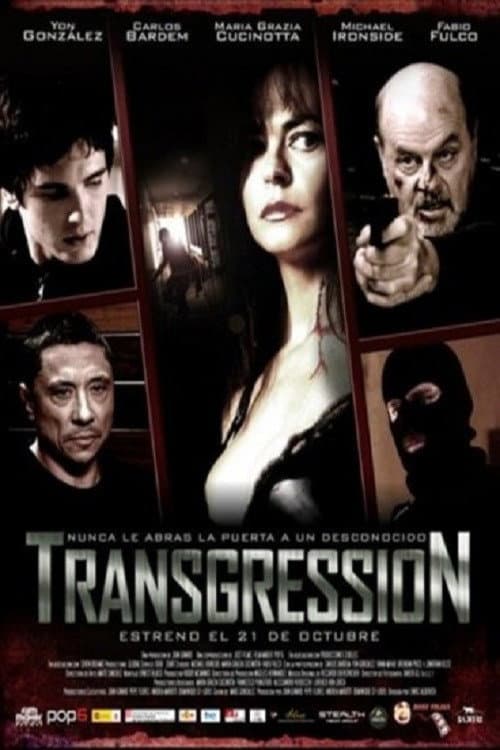 Transgression (2011) poster