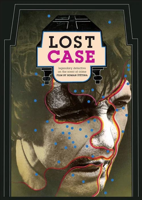 Lost Case (2014) poster