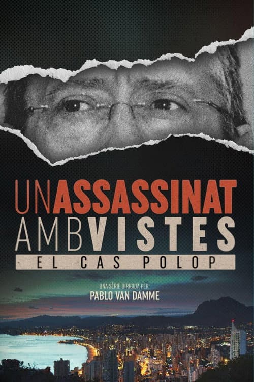 Un assassinat amb vistes (2025) poster