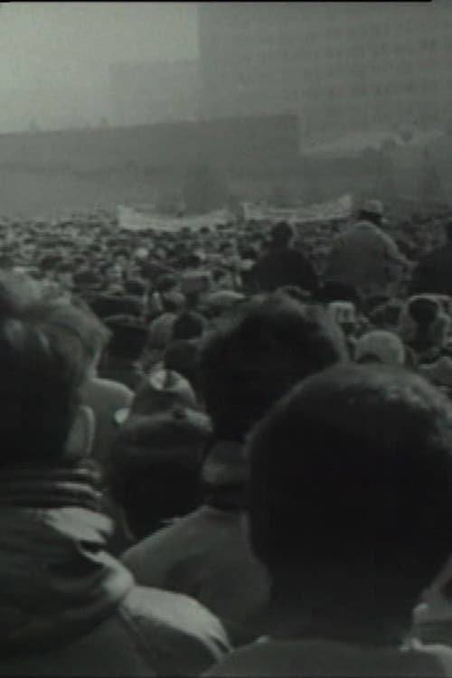 Chronicle of an Undeclared Demonstration (1991) poster