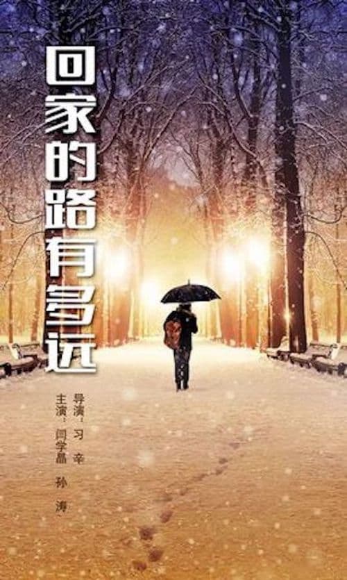 回家的路有多远 (2018) poster