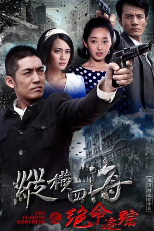 绝命追踪 (2015) poster