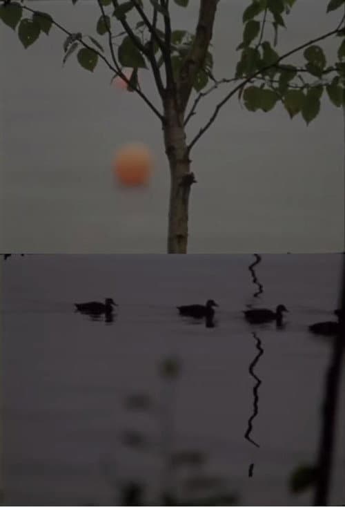 Cove (2012) poster