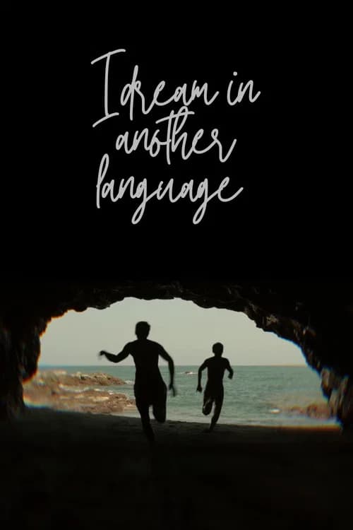 I Dream in Another Language poster