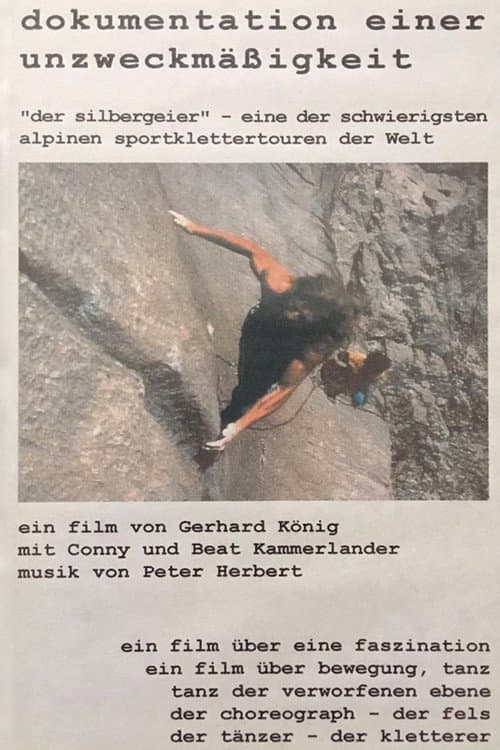 Dokumentation einer Unzweckmäßigkeit poster