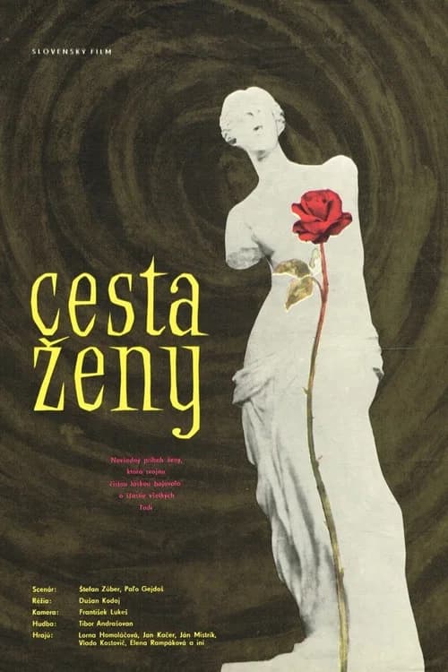 Cesta ženy poster