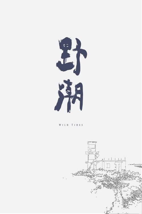 Wild Tides (2017) poster