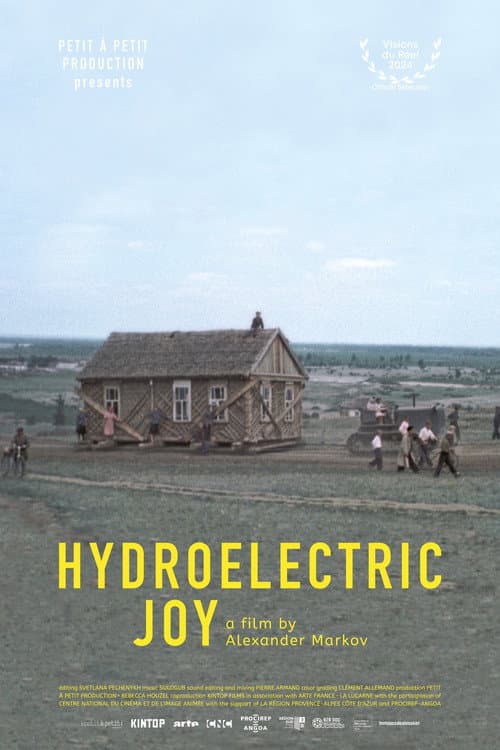 Hydroelectric Joy poster