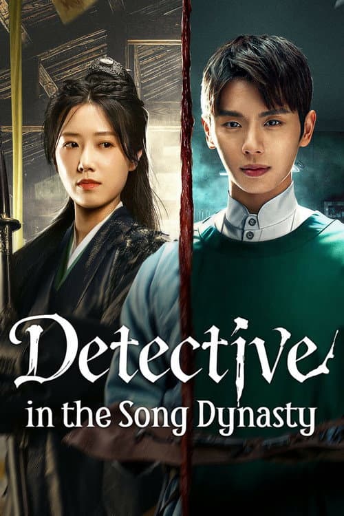 Detective in the Song Dynasty (2026) poster
