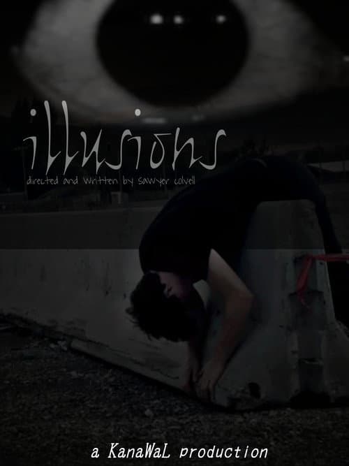 illusions poster