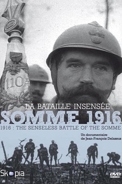 Somme 1916, la bataille insensée poster