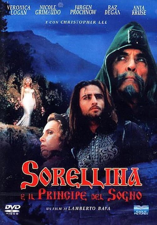 Alisea and the Dream Prince (1996) poster