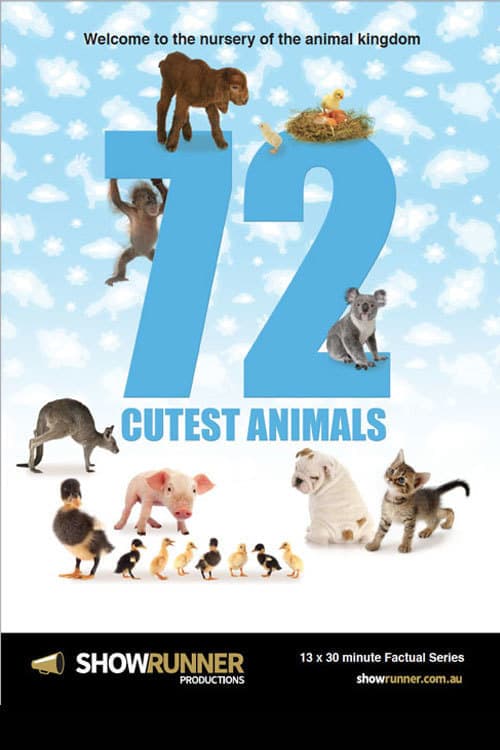 72 Cutest Animals (2016) poster