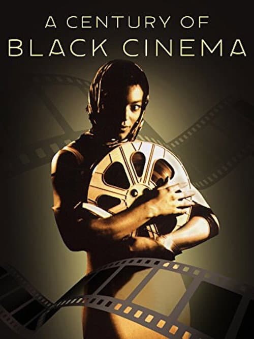 A Century of Black Cinema (2003) poster