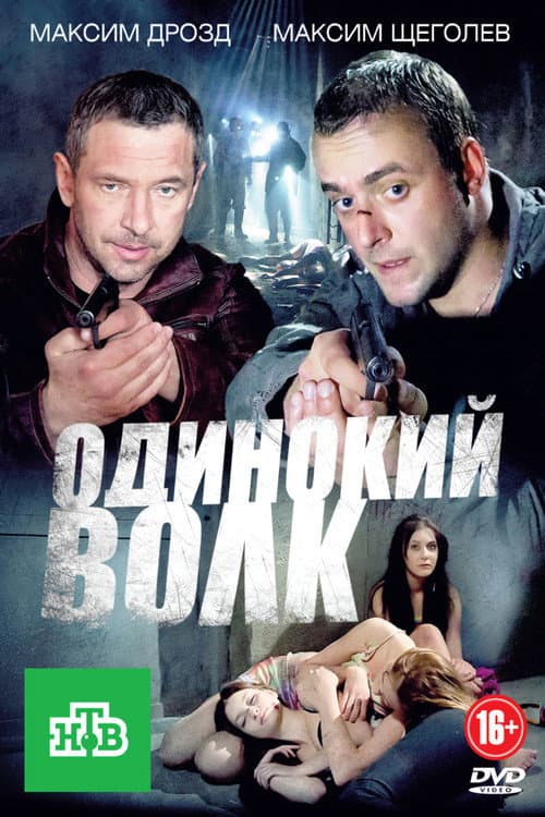 Одинокий волк (2013) poster