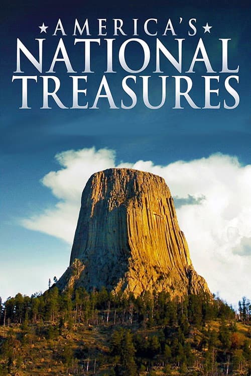 America's National Treasures (2010) poster