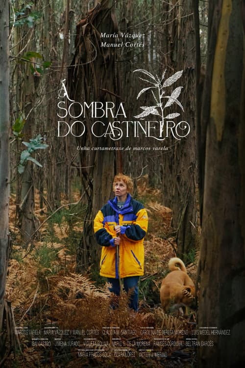 Under the Chestnut Tree (2024) poster