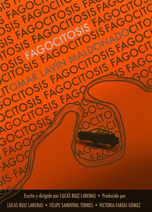 Fagocitosis poster