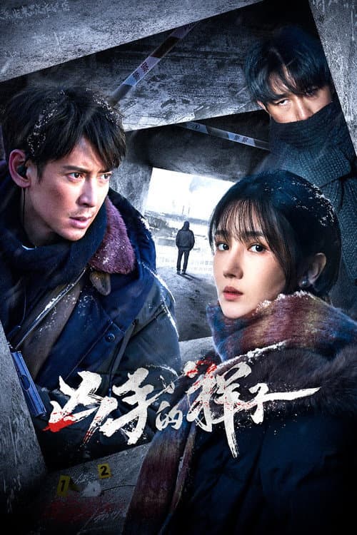 The Appearance of the Murderer (2024) poster