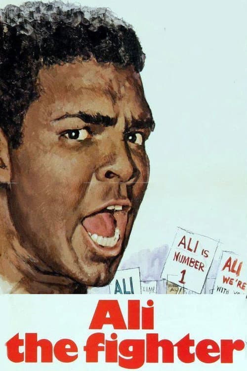 The Fighters (1974) poster