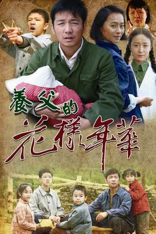 养父的花样年华 (2014) poster