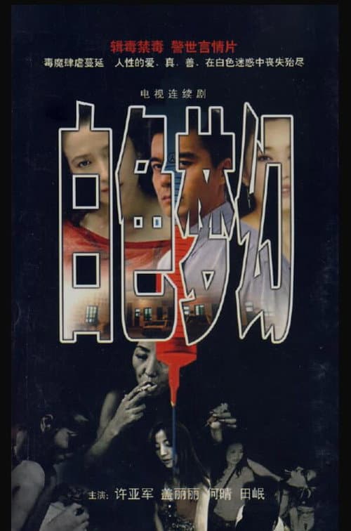 白色梦幻 (1998) poster