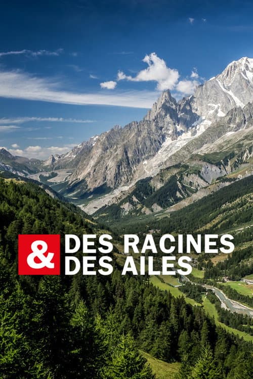 Des racines & des ailes (1997) poster