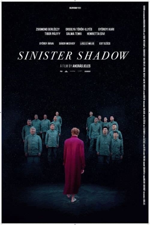 Sinister Shadow (2018) poster