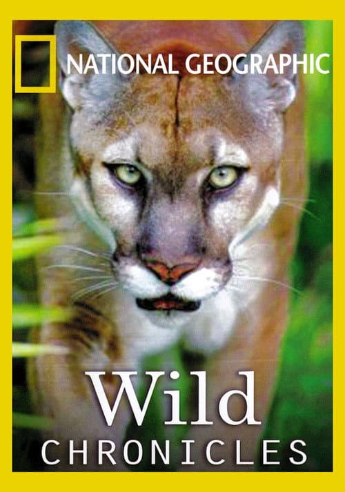Wild Chronicles (2005) poster