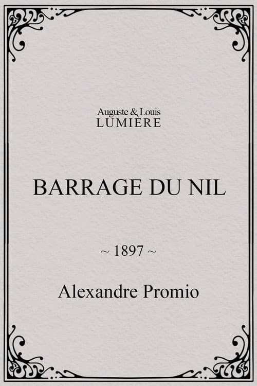 Barrage du Nil poster