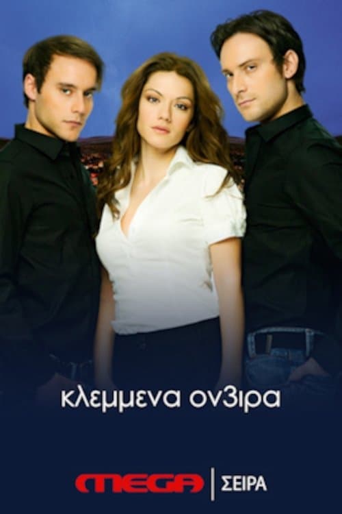 Stolen Dreams (2011) poster