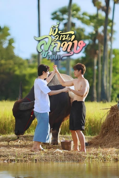 Love Harvest poster