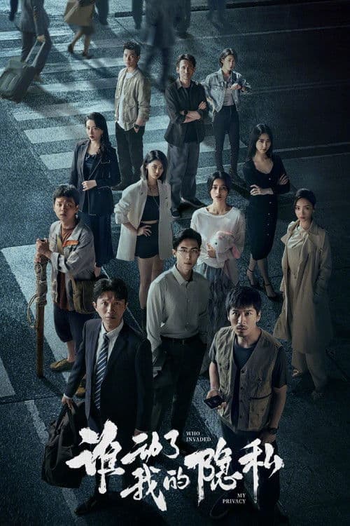 Who Invaded My Privacy (2026) poster