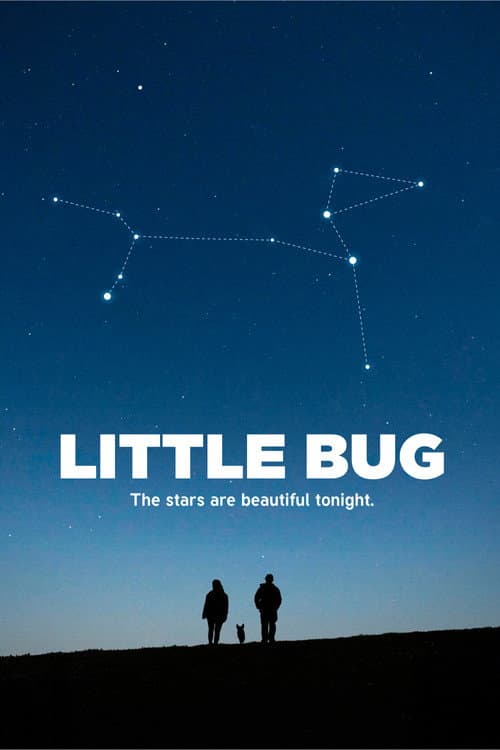 Little Bug (2025) poster