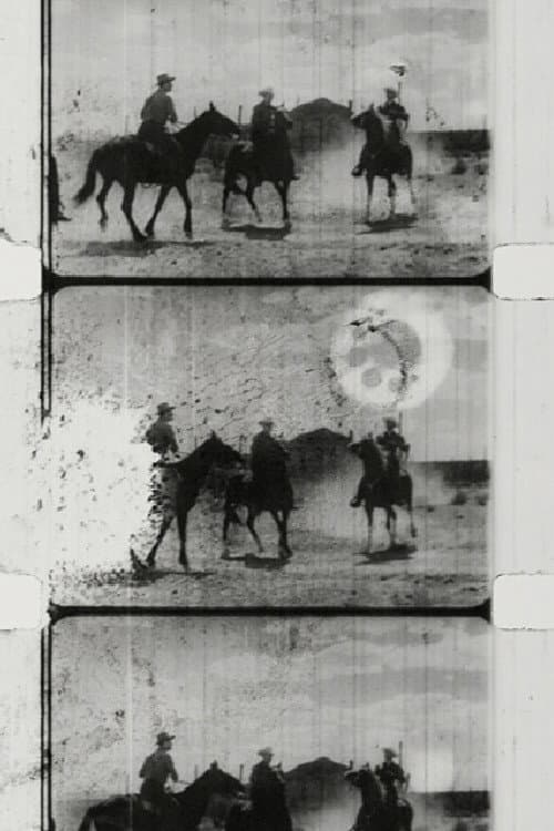 Western Sunburn (2007) poster