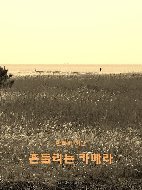 wandering camera (2020) poster