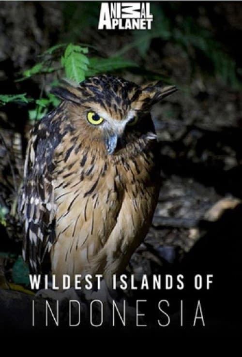 Wildest Islands of Indonesia poster
