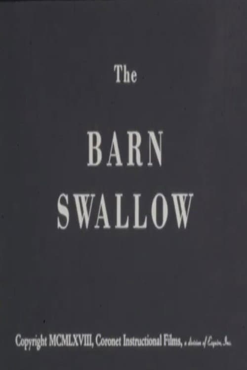 The Barn Swallow poster