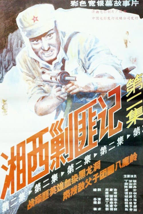 Xiang Xi Jiao Fei Ji (Part II) (1987) poster