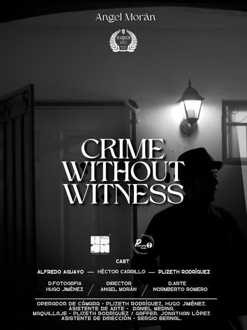 Crime Without Witness poster