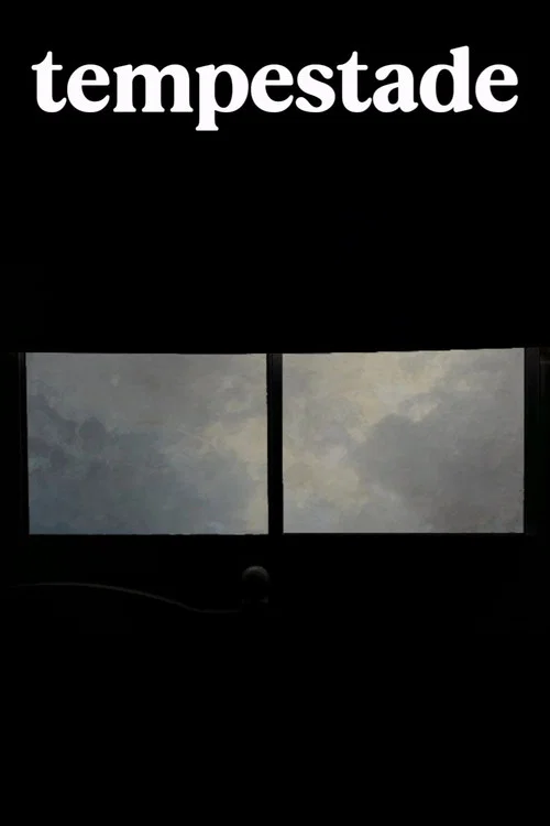 Storm poster