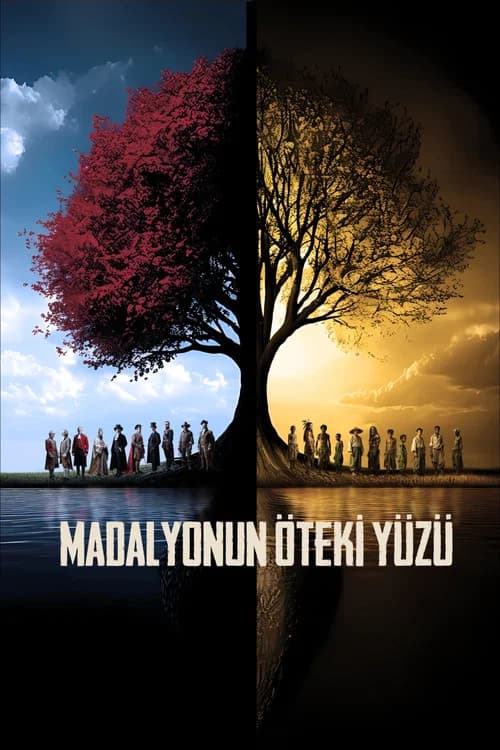 Madalyonun Öteki Yüzü poster