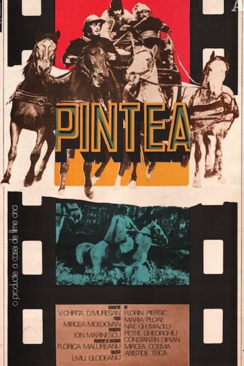 Pintea (1976) poster