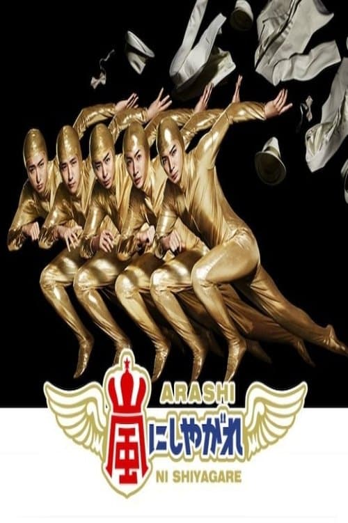 Arashi ni Shiyagare (2010) poster